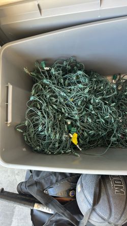 Christmas Net Lights, Eight Bright White And Four Multicolor