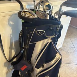 Golf Clubs Poles Palos De Golfing