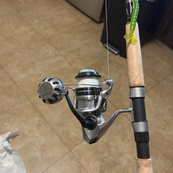Shimano Saragosa 6000
