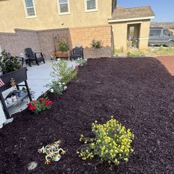 Mulch Installed
