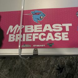 MrBeast briefcase by Moose