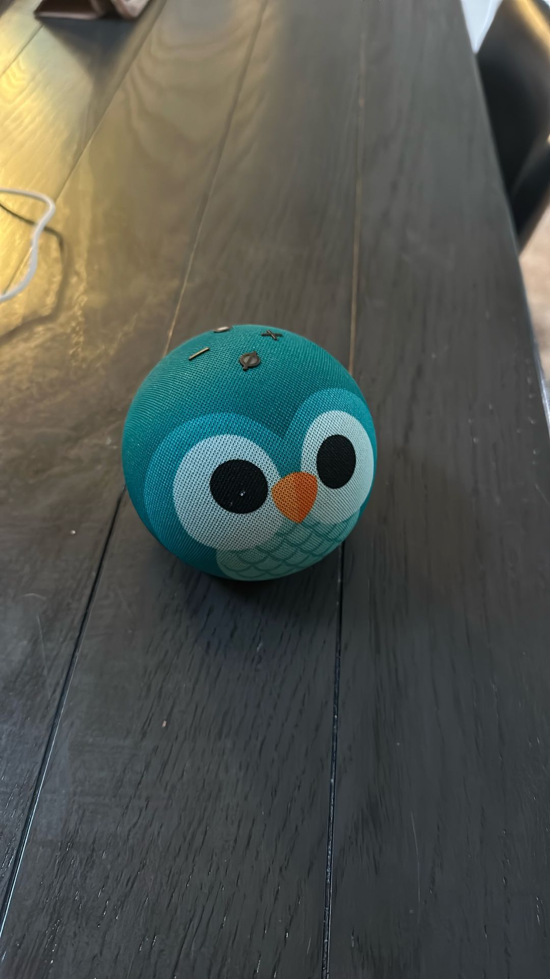 Echo Dot Owl