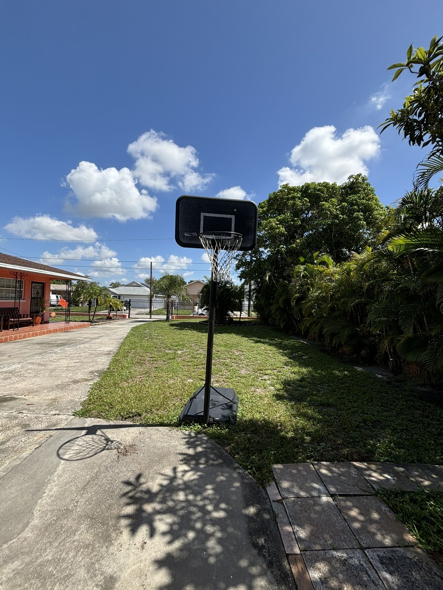 Professional Basketball Hoop