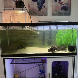 75 gallon Tank And stand