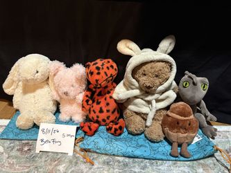 Jellycats (Bear, pig, Salamander, newt, Bunny, Brioche)