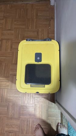 Cat litter