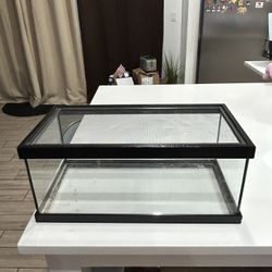 Small Reptile tank