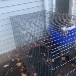 Large Dog Kennel