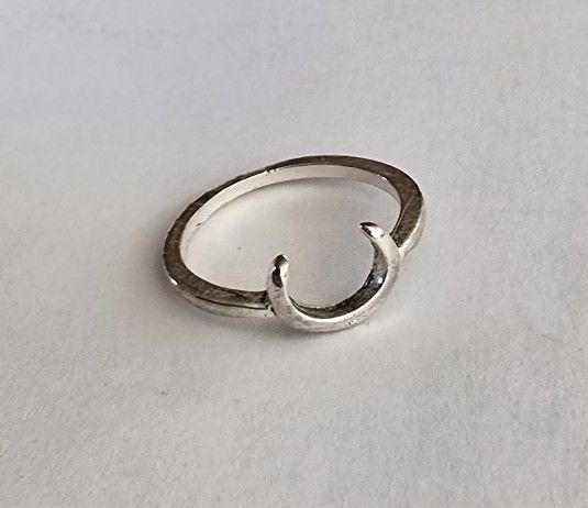 LUCKY HORSESHOE, NEW SIZE FIVE STAINLESS STEEL QUALITY FOREVER WEAR TRENDSETTER RANK