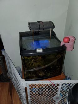 29gallon 150watt hqi Corlife Biocube