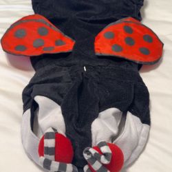 Halloween Costume Dog 