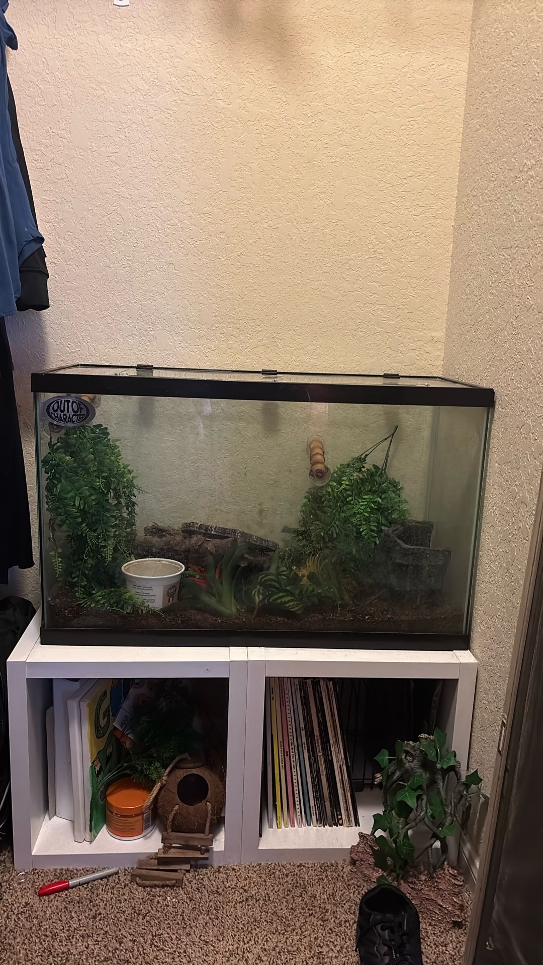 Reptile Rectangle Glass Aquarium Cage