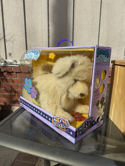 Furry Pet Friend
