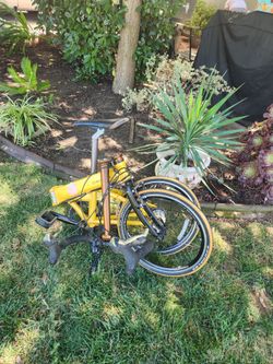 Dahon