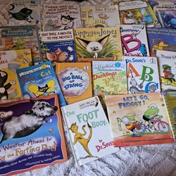 Kids Book Lot Over 20 Books