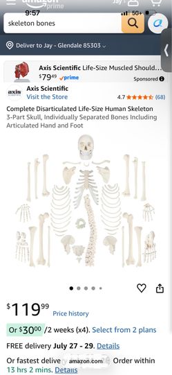 Artificial skeleton bones