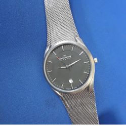 Skagen Men's Watch Titanium 