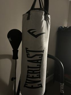 Everlast Heavy Boxing Bag With Bag Stand