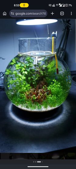 Nice aquarium for sale!