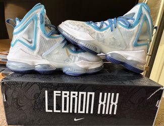 LeBron XIX