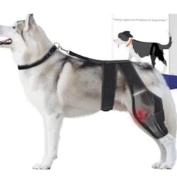 Dog Knee Brace For Torn ACL Hind Leg, Dog Leg Brace For XLARGE