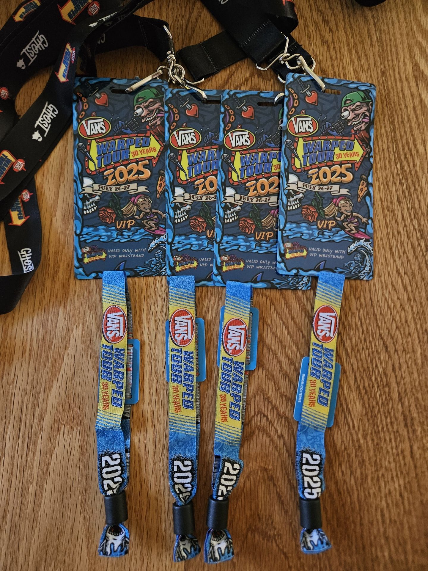 Warped Tour Passes