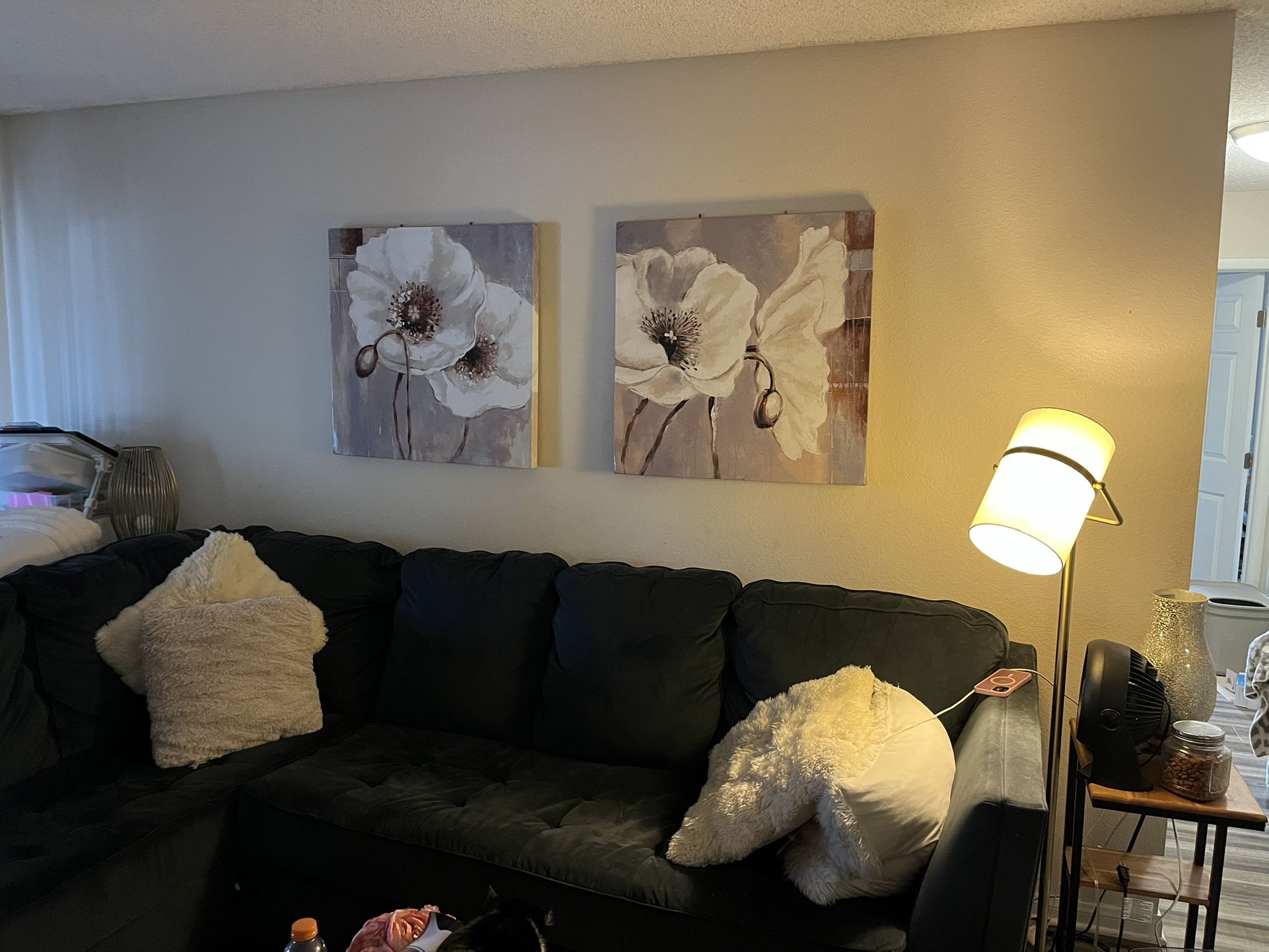 Free Microfiber Couch