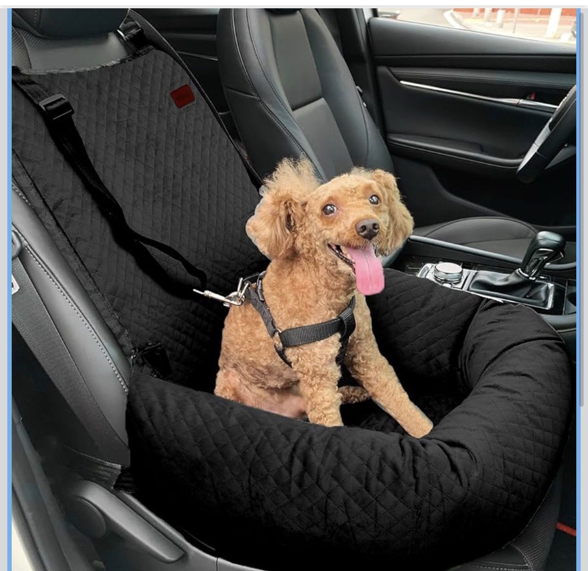 Dog Car Seat