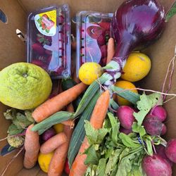 Free Produce Box