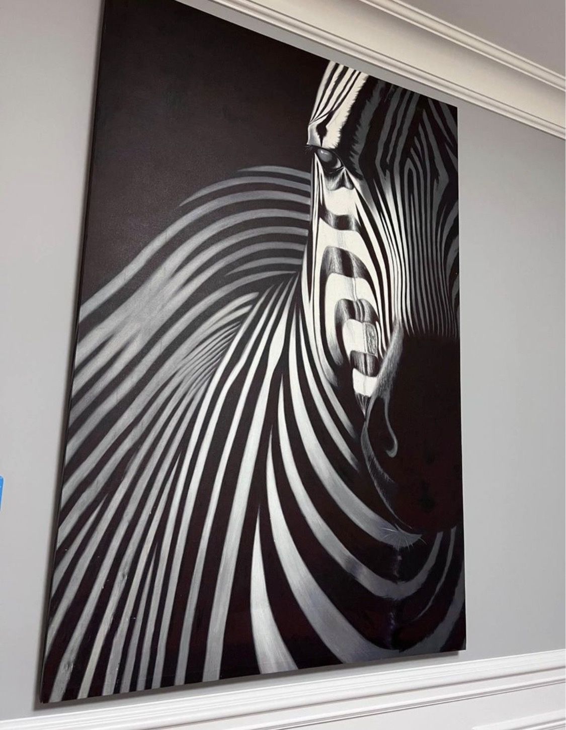 Large Zebra Canvas Print Art