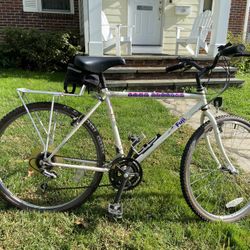 🚲 Fuji Sand Blaster Mountain Bike – Classic & Ready to Ride!