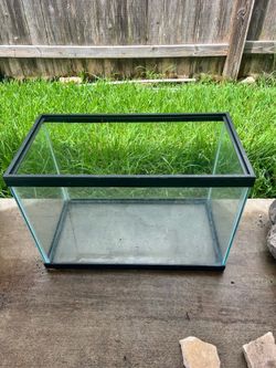 Fish tank / hollowed out terrarium logs and unique branch formations