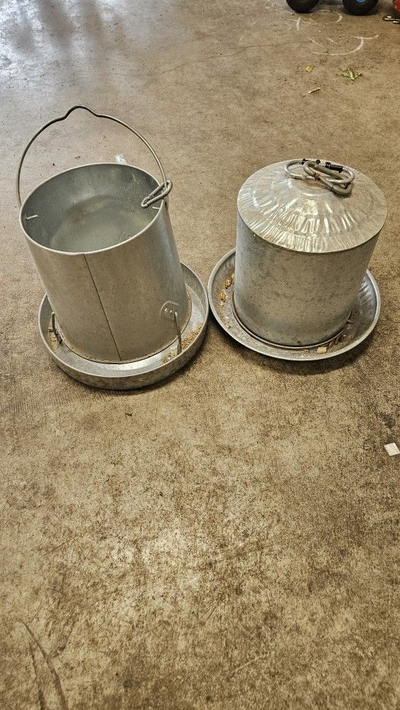 Chicken Feeder And Water