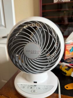 WOOZOO RS IRIS USA, Inc. Desk fan with variable speeds from Costco