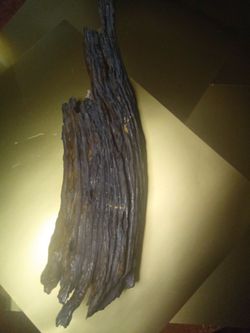 Drift wood
