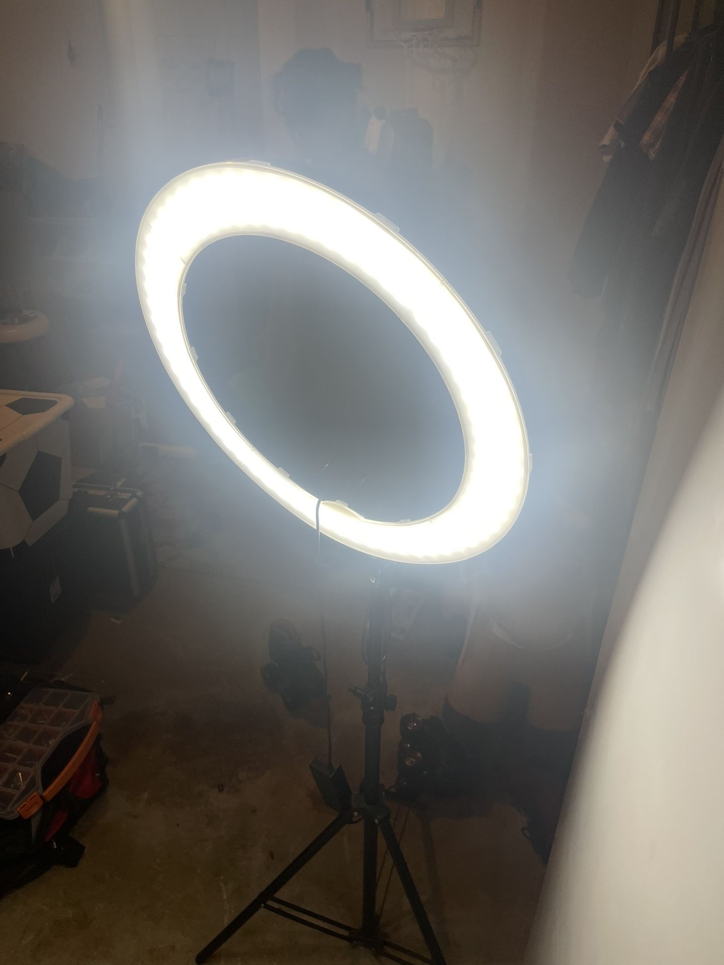 2 Ring Lights 