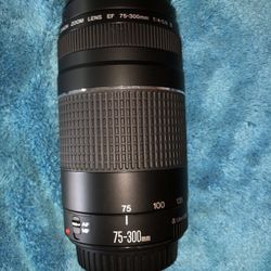 Canon 75-300 Lens