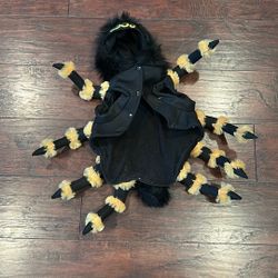 Spider Small/Medium Dog Costume