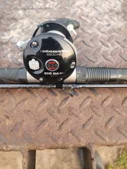 12ft Shimano Rod With Abu Garcia 6500