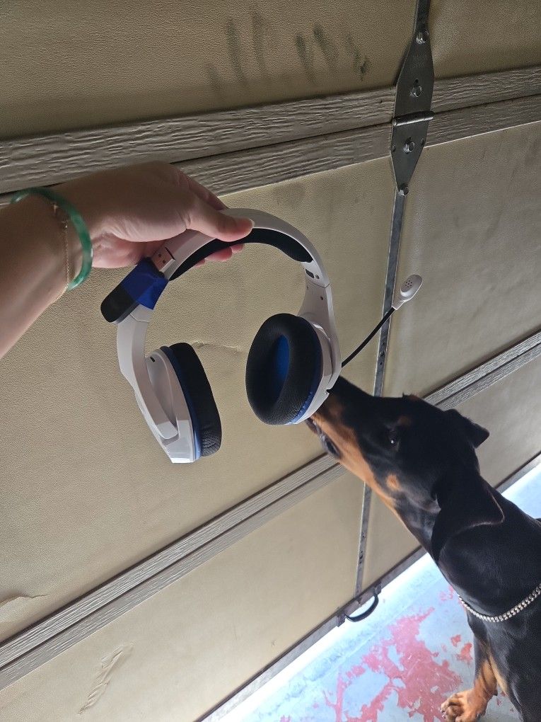 Hyper X Wireless Headset