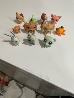 Pet shop toys