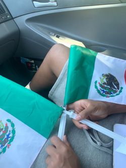 Mexico flags