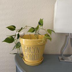 New Rae Dunn Yellow Planter 