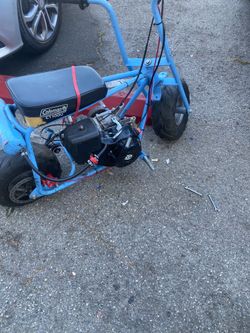Mini bike