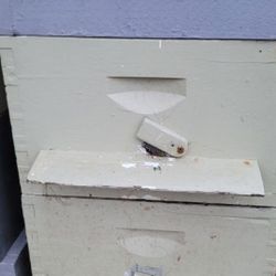 Free BEEHIVES
