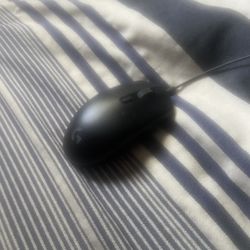 Computer Mouse 