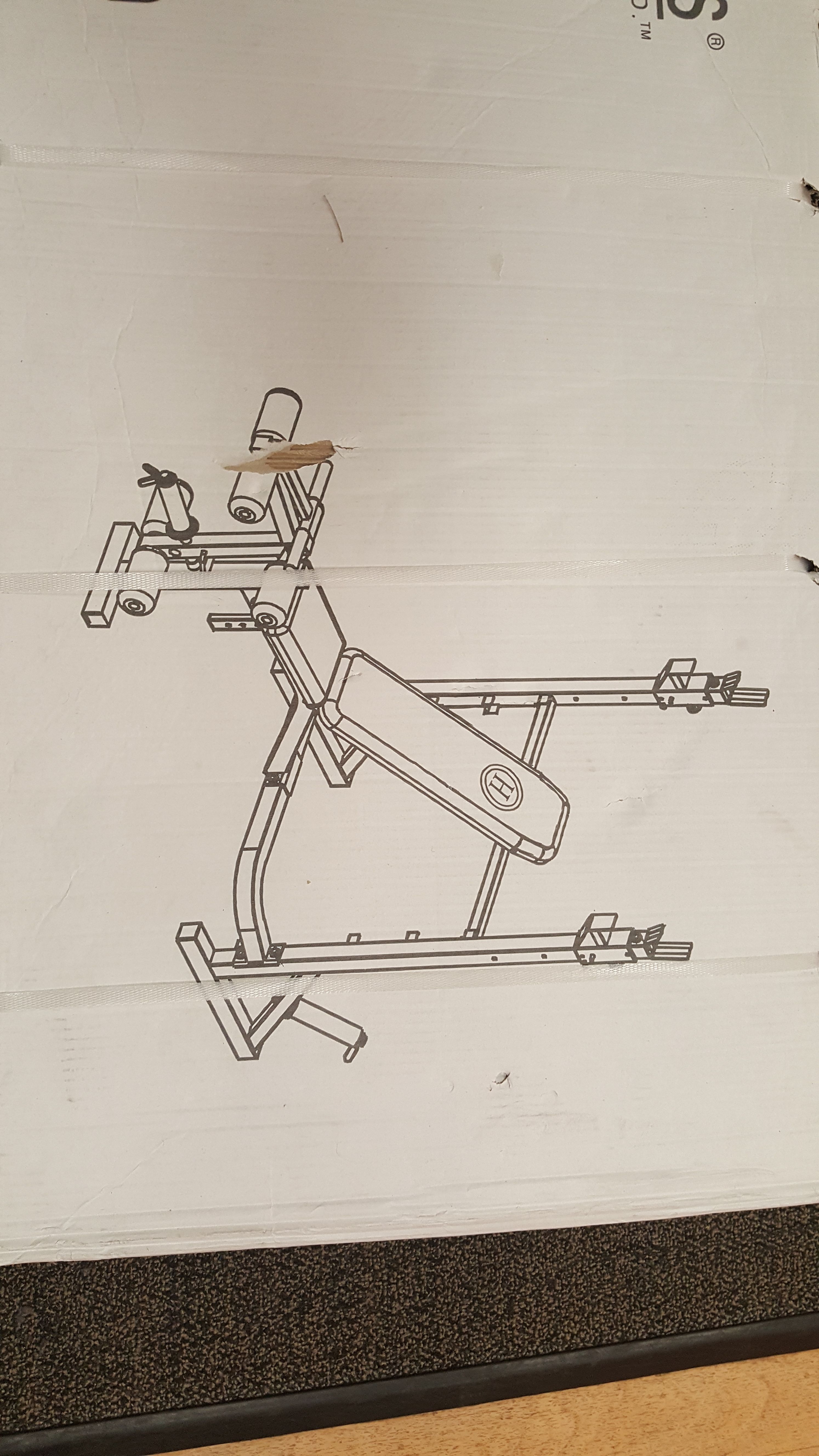 New Hibbett Olympic Weight Bench