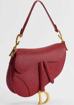 Dior saddle bag // purse // handbag