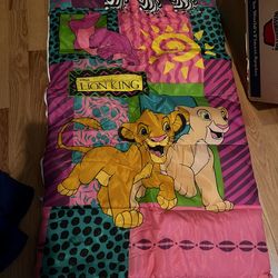 Childs lion king sleeping bag.