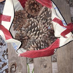 Handpicked Pine cones